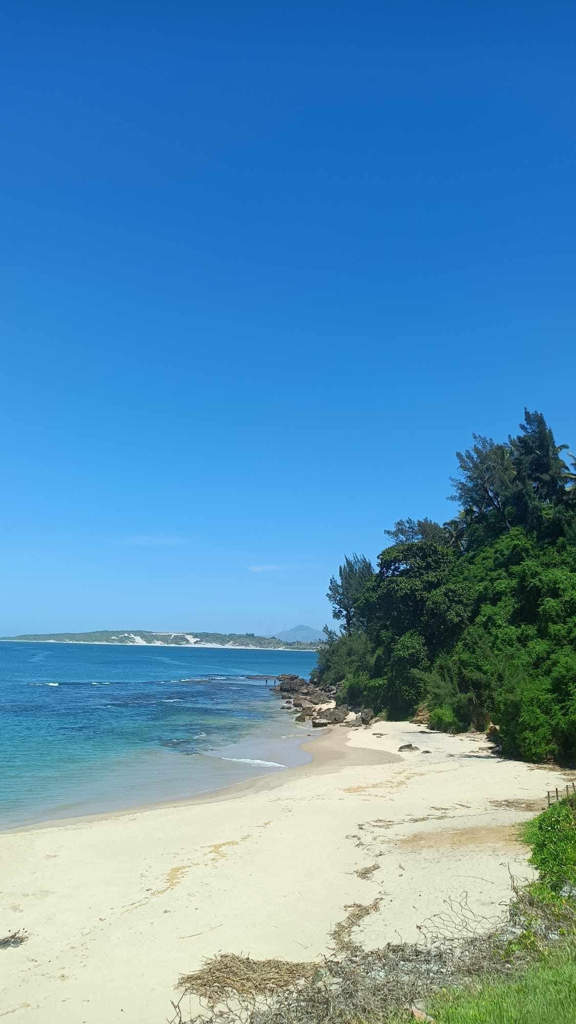 Wooded rocky coast and blue sea, with a peninsula on the horizon