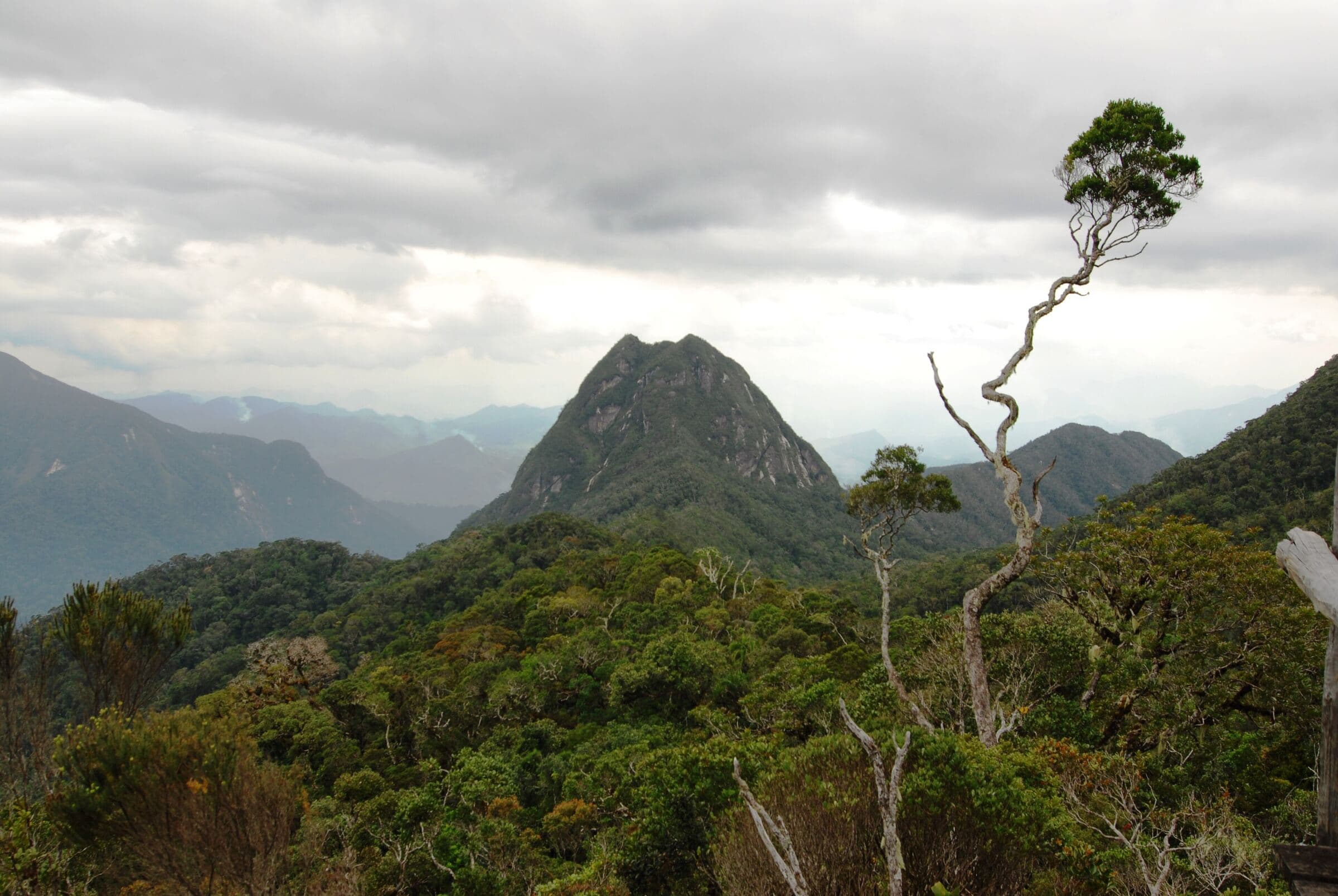 Sommets boisés du massif du Marojejy sous un ciel voilé