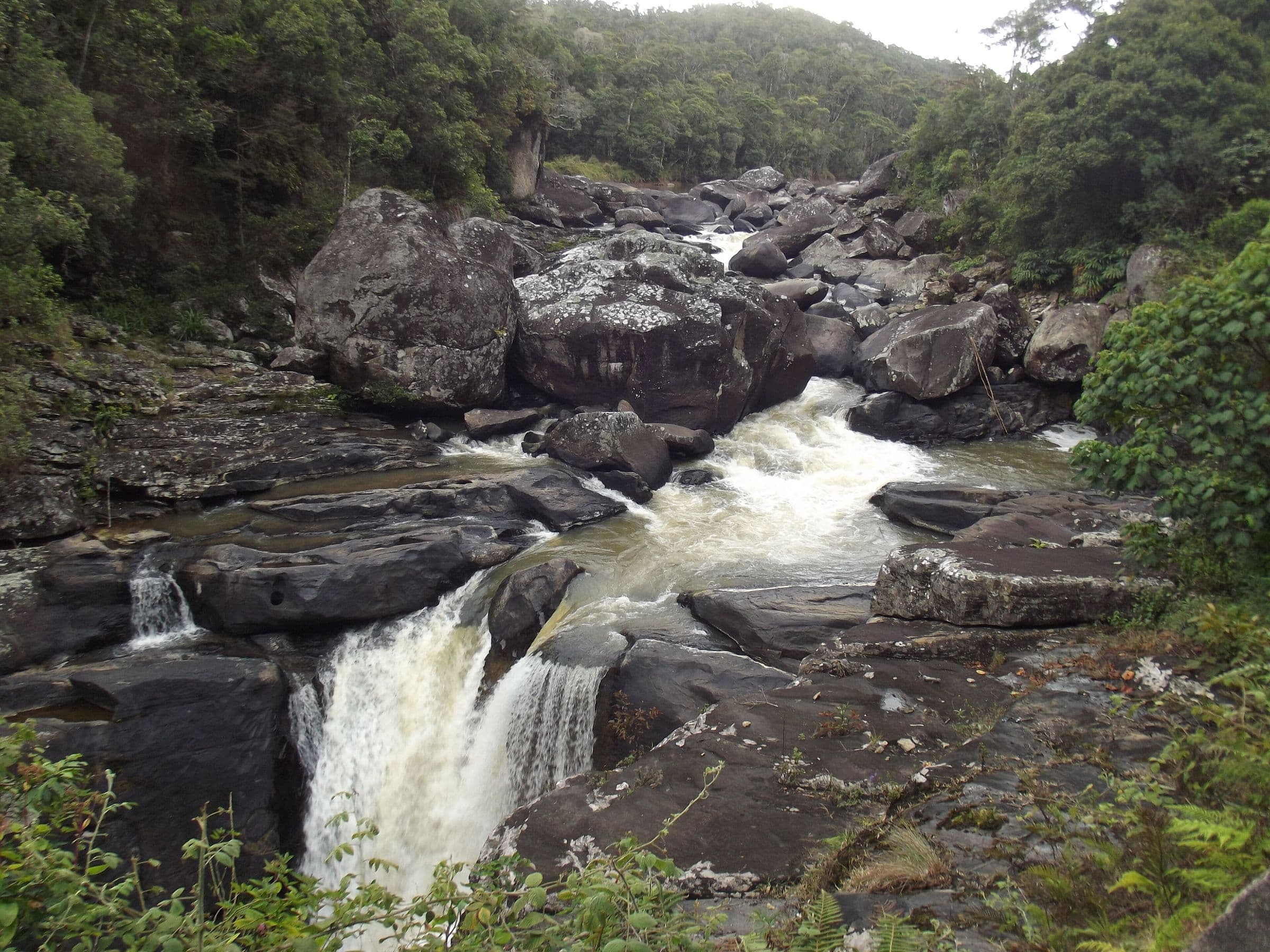 Rivière dévalant en cascades entre des blocs de roche, sous la forêt humide